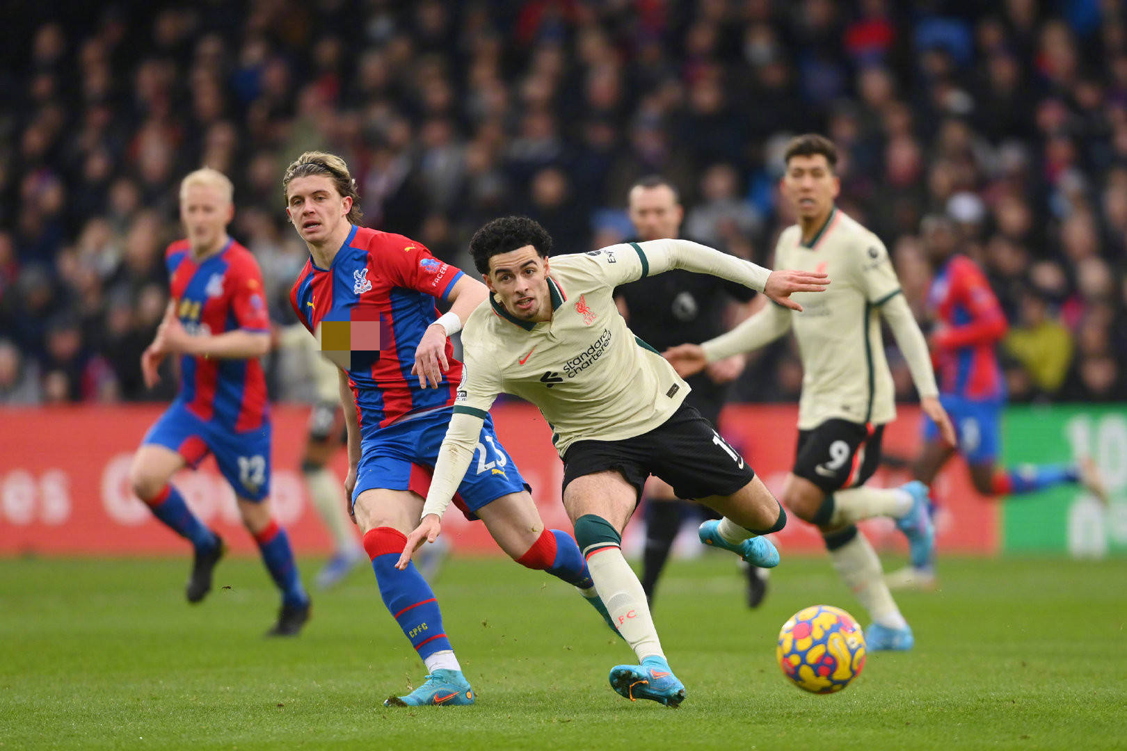 龄化社会的 龄化社会的